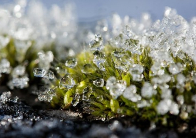 冬春過渡中年人穿鞋悶腳如何是好？什么鞋子保暖又透氣？